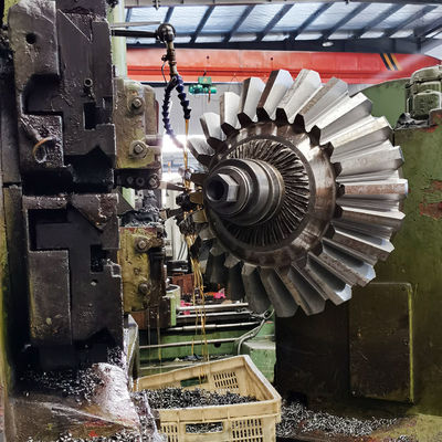 OEM 14 وحدة تروس شطبة مستقيمة معدات كسارة ترس ميتري مستقيم